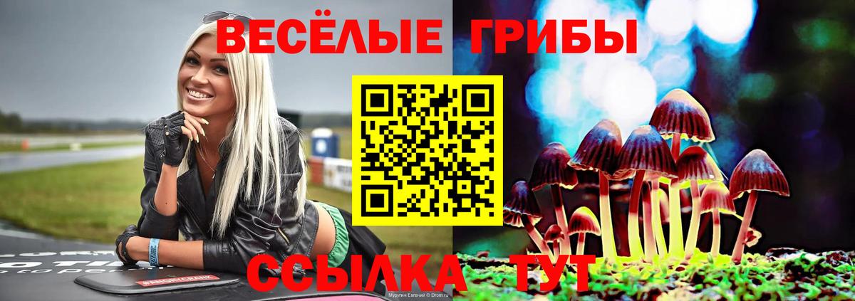 Псилоцибиновые грибы GOLDEN TEACHER Егорьевск